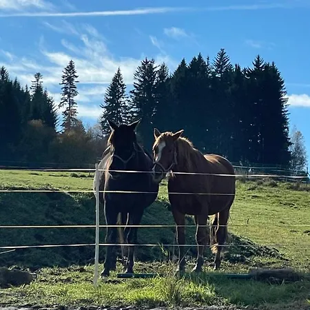 Romanticka S Krbem Ferienhaus *