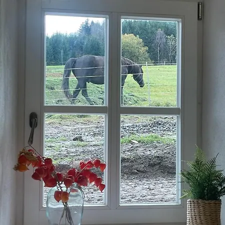 Ferienhaus Romanticka S Krbem