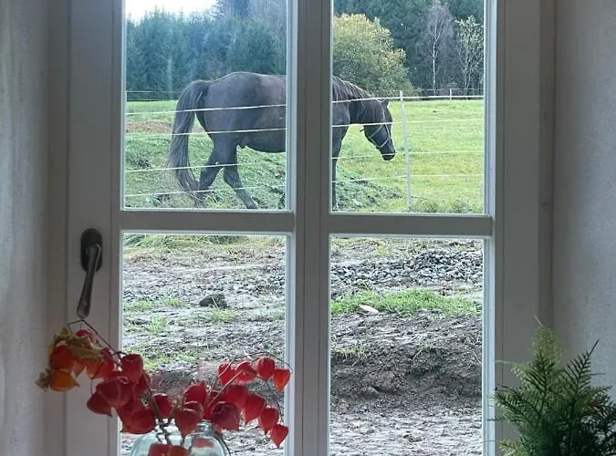 Сasa de vacaciones Romantická S Krbem